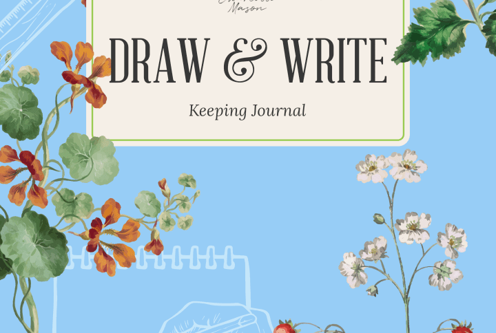 Draw & Write Keeping Journal