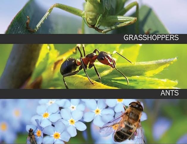 Handbook of Nature Study - Insects