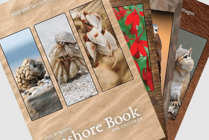 Burgess Books Bundle