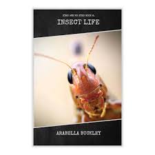 Eyes and No Eyes - Insect Life