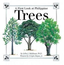 A First Look at Philippine - Trees